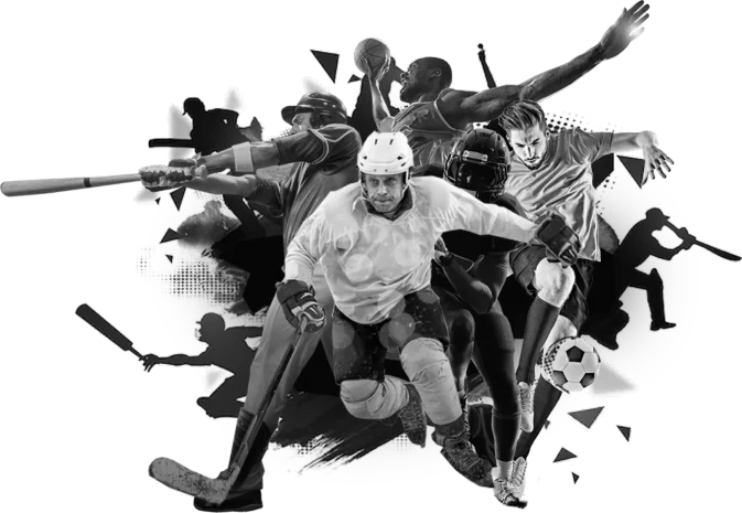 Web portals and promotional tools for sports clubs